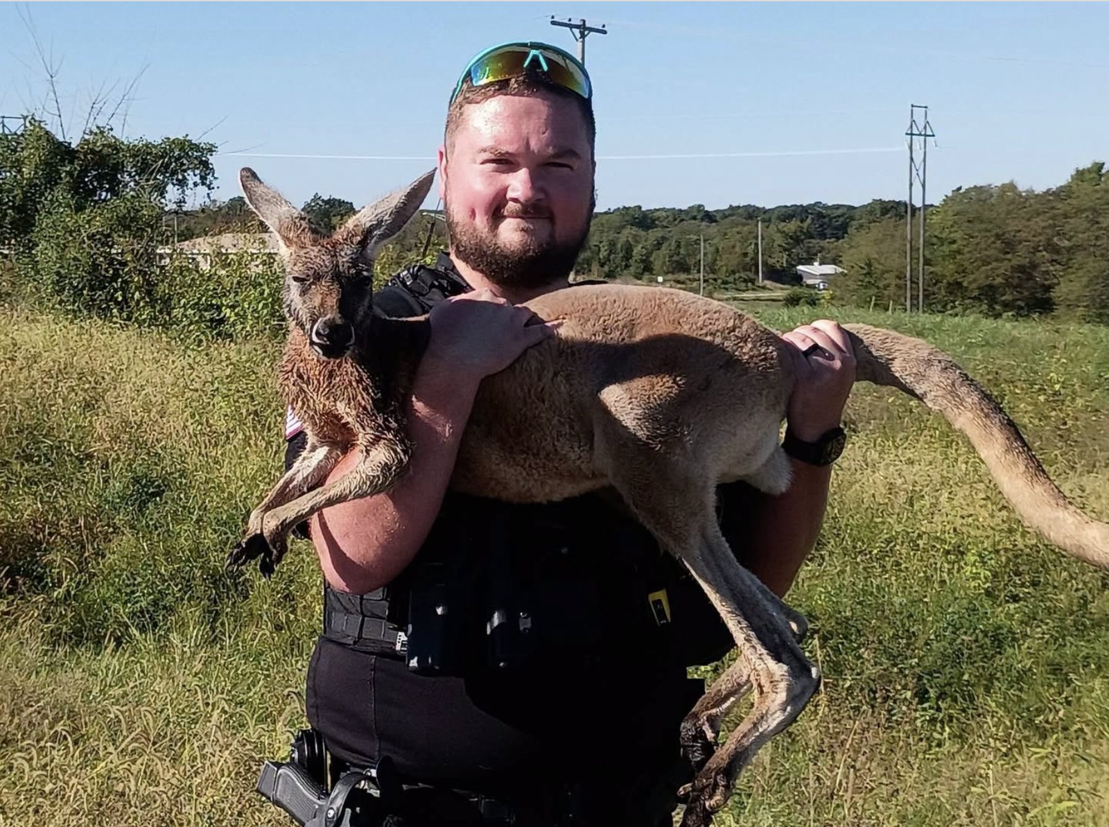 Photo Saline County, Mo. Sheriff