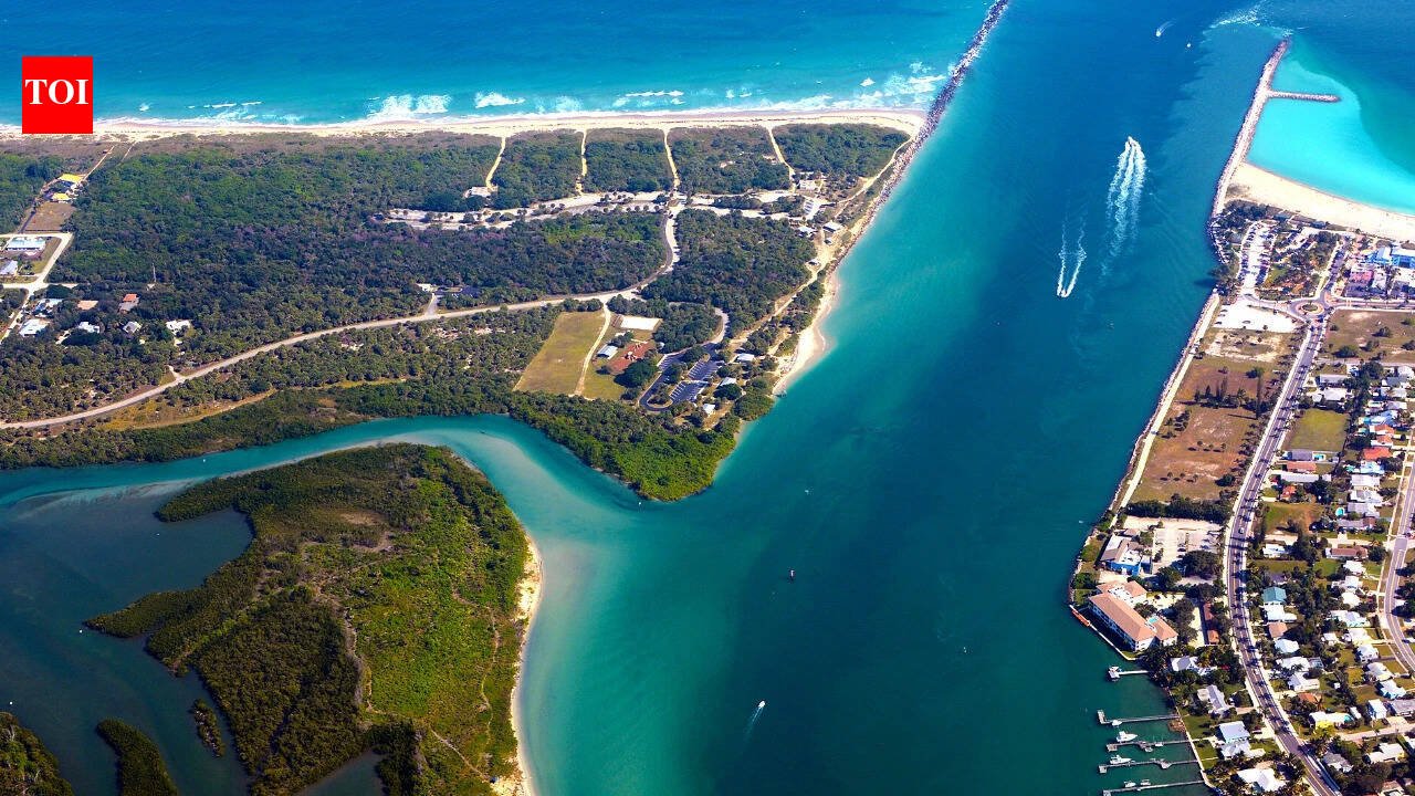 In 2026, a Florida man went lobster diving and spotted a torpedo-shaped object; the Navy later detonated a suspected WWII-era munition
